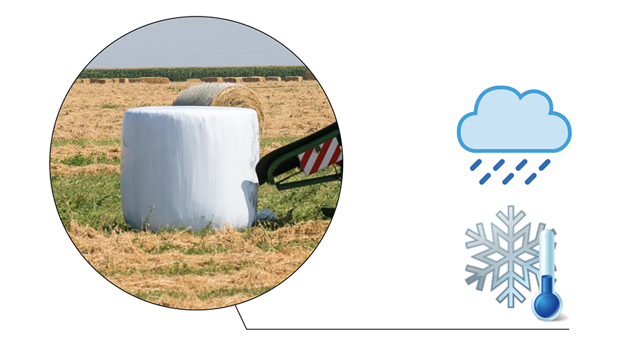 Asili-tip-balya-sarma-7510-Klara